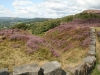 Millstone Edge