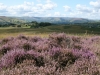 Looking towards Hope Valley