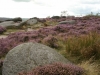 Millstones