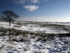 View from Bowstones, Lyme Park