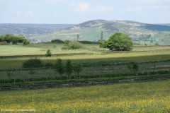 Werneth Low