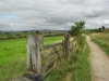 Werneth Low
