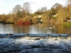 Bakewell